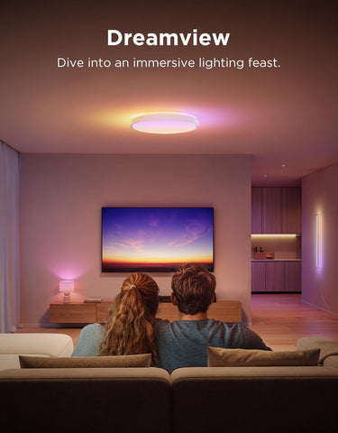 Govee flush-mount round white ceiling light in a modern room.