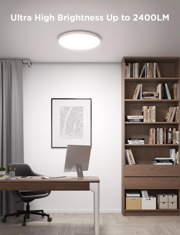 Govee ceiling light Matter OTA upgrade for future compatibility