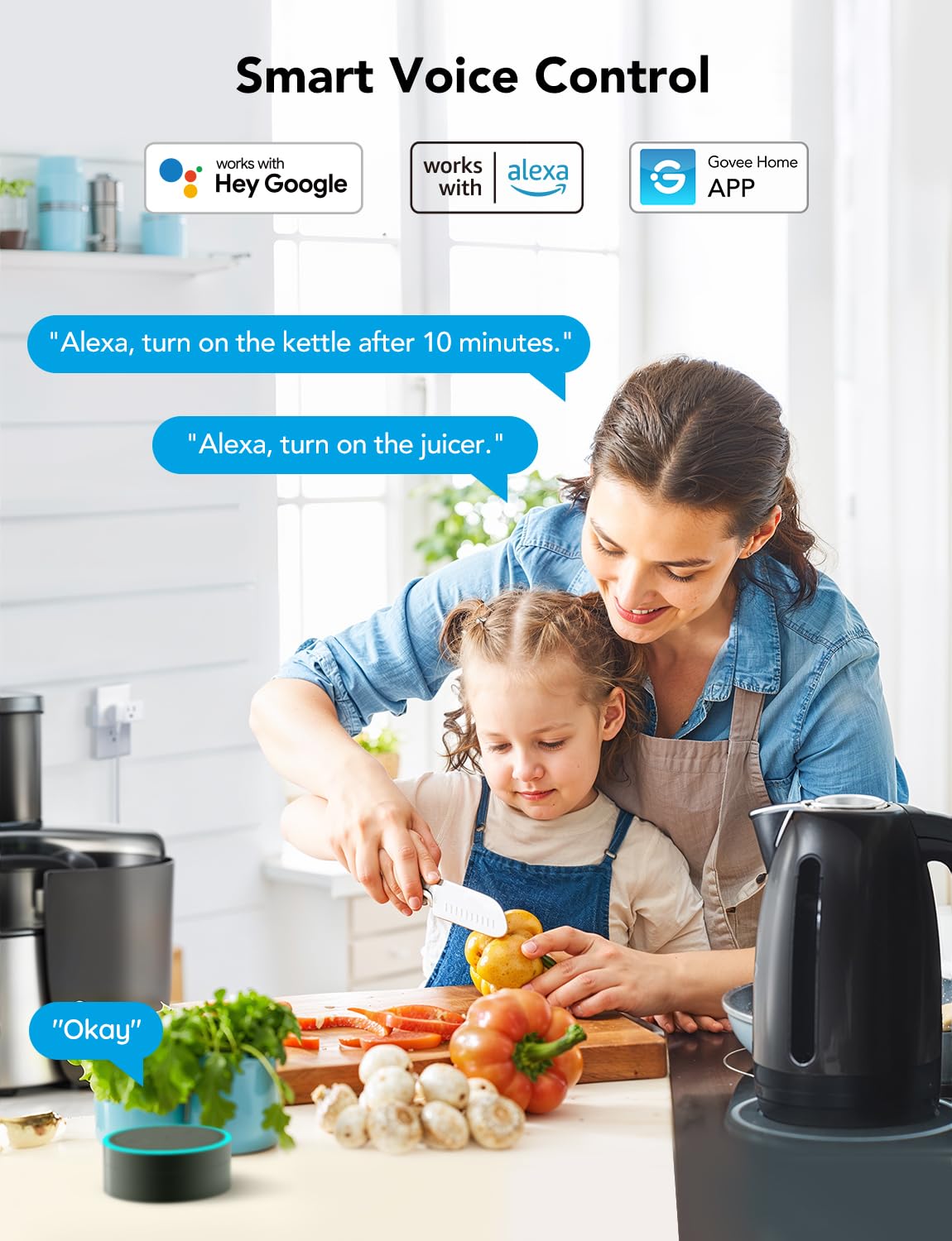 Govee Dual Smart Plug app control for remote operation.