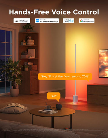 Govee Floor Lamp 2 app scene modes for quick mood lighting changes.