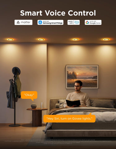 Govee Matter and Alexa voice control for hands-free lighting adjustments.