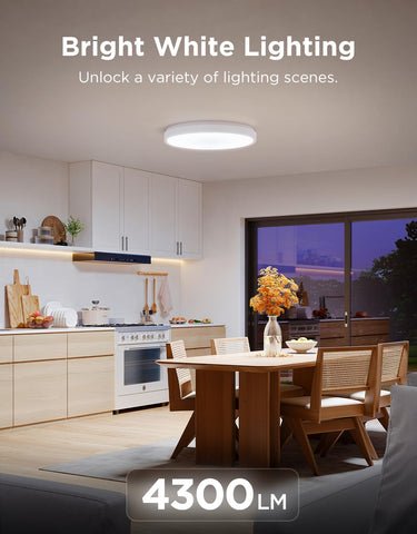 Govee ceiling light with Matter support enables hands-free control.