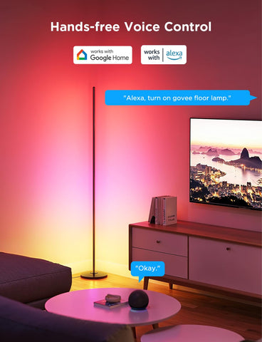 Govee RGBIC Floor Lamp Basic packaging simplifies transport and gifting.