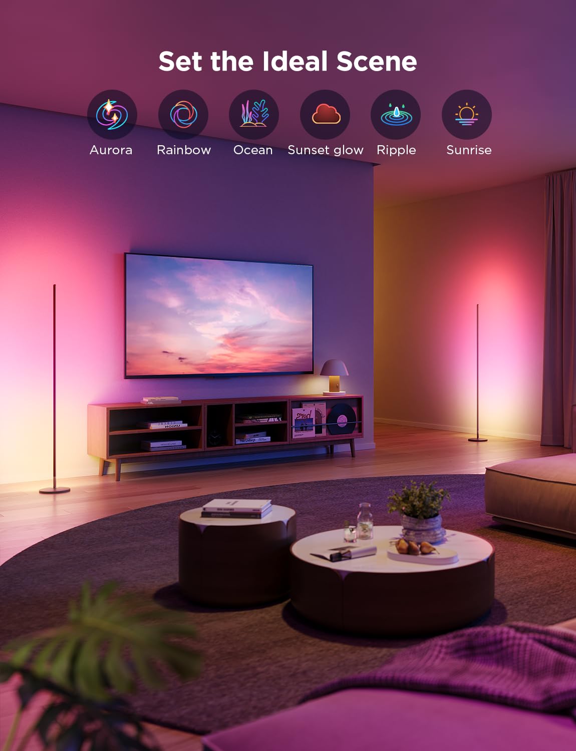 Govee RGBIC Floor Lamp Basic control-box for quick smart setup.