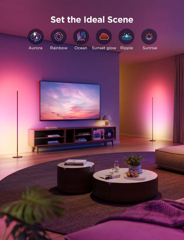 Govee RGBIC Floor Lamp Basic control-box for quick smart setup.