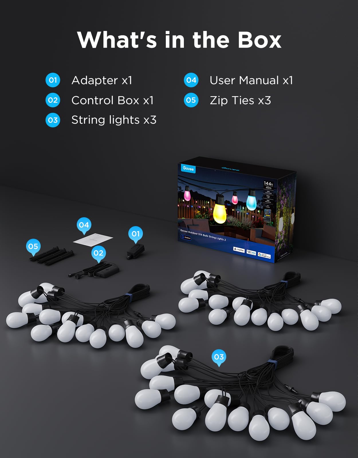 Govee S14 control box with IP65 and adapter with IP44 protection