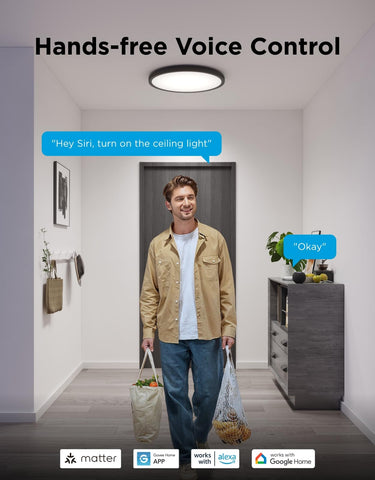 Govee control via Alexa and Govee Home App for seamless use