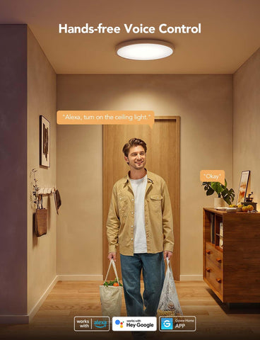 Govee Smart Ceiling Light with Alexa control for hands-free operation