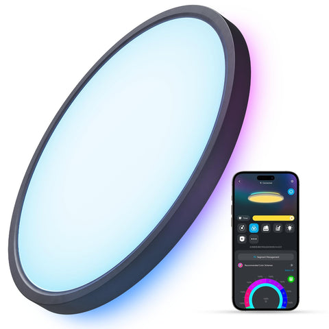 Govee Smart Ceiling Light main light RGB+WW for versatile ambience