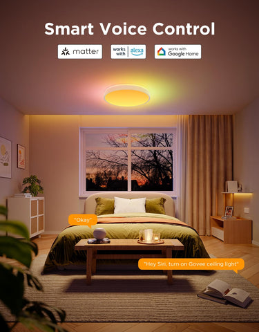 Govee ceiling light works with Alexa and Google Assistant for voice control.