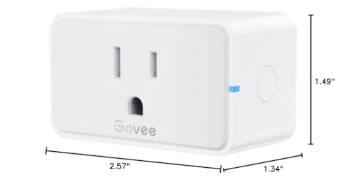 Govee Home App enables remote setup and control.