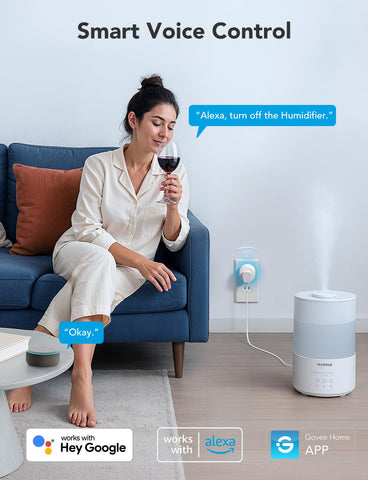 Govee Smart Plug scheduling and group control for automated routines.