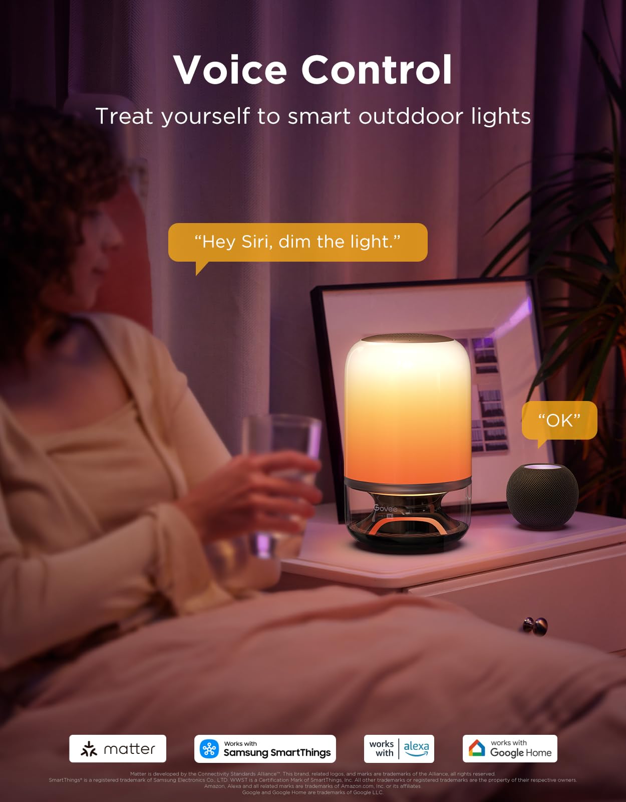 Govee Table Lamp 2 Pro Music DreamView syncing with other lights for room-wide effects.