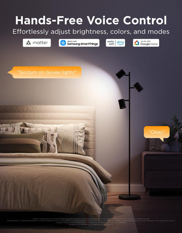 Govee lamp features tunable 2700K–6500K color temperature for any time.