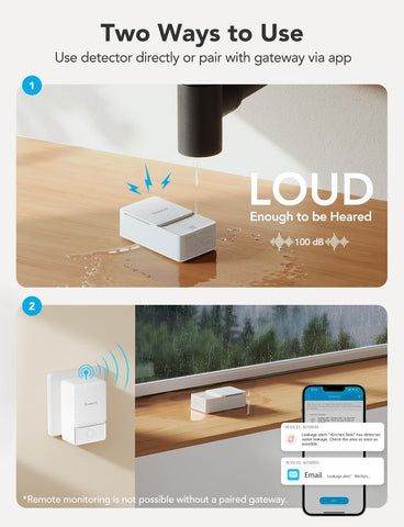 GoveeLife detectors mounted under sink for hidden protection.