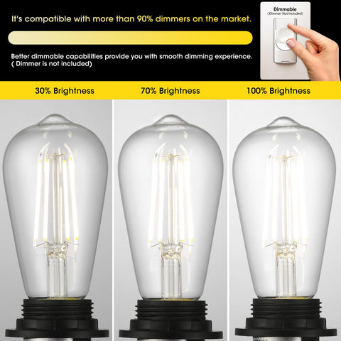 Gozelux Edison bulb with E26 base fits standard fixtures.