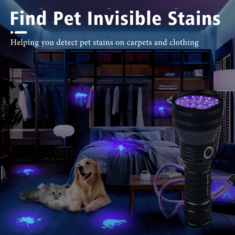 Grace Marci scorpion-detection UV light aids quick inspections.