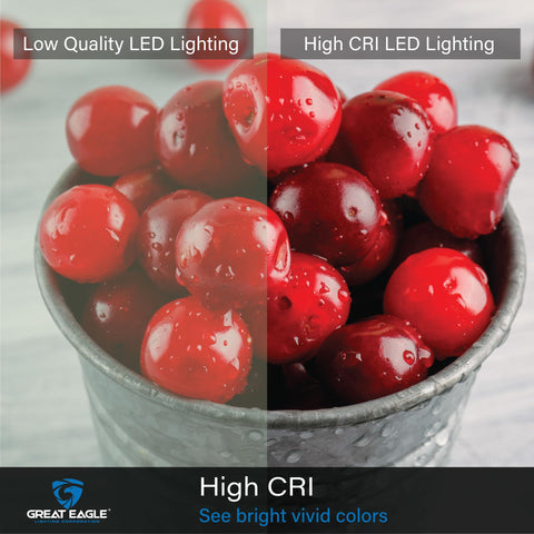 Great Eagle A19 delivers instant brightness even in sub-zero temperatures.