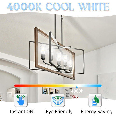 GvvooHome ST58 bulb in pendant light delivers bright 4000K illumination.