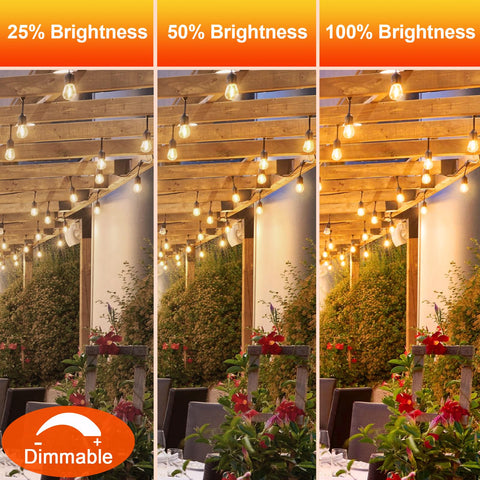 GvvooHome 20,000-hour lifespan bulbs reduce replacements.