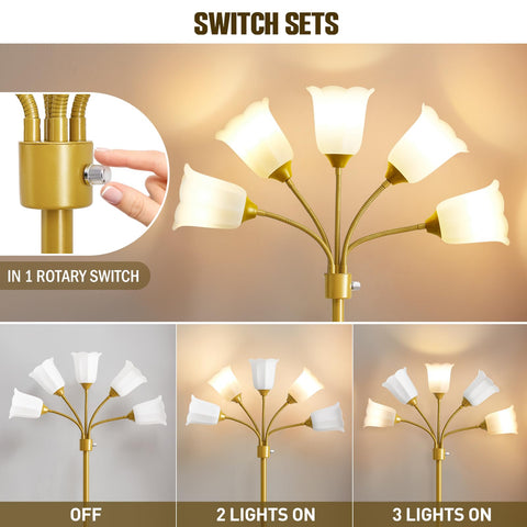 GyroVu Medusa lamp heads tilted for precise reading or task lighting.