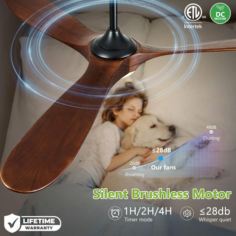 Haipeel remote control lets you adjust speed and light from anywhere
