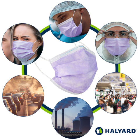 HALYARD Fluidshield 1 lavender mask packaging box visible for easy storage.