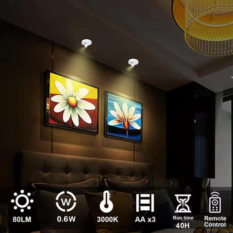 HAMVIDNE picture light in closet providing even illumination with remote