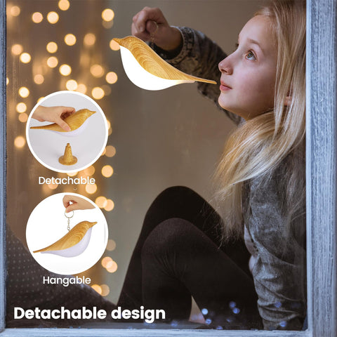 Haotao USB rechargeable lamp highlighting long battery life and flexible charging.