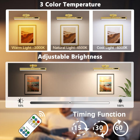 Hapfish battery-powered picture light delivering adjustable brightness for artwork