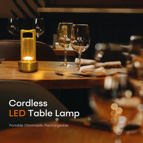 HAPYGI cordless LED lamp powered by USB rechargeables for on the go use