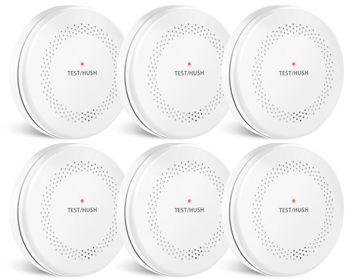 HATHEPHS 6-pack detection unit shows dual smoke and CO sensing for safety.