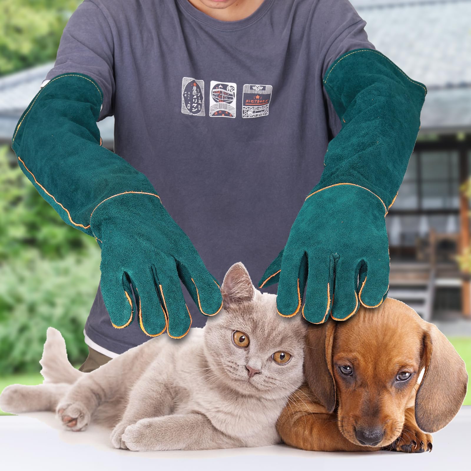 Haulonda leather animal handling gloves provide durable, all-purpose protection.