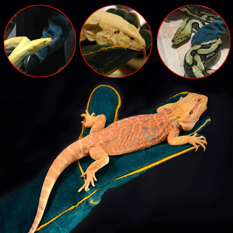 Haulonda long-arm protection gloves extend forearm coverage.
