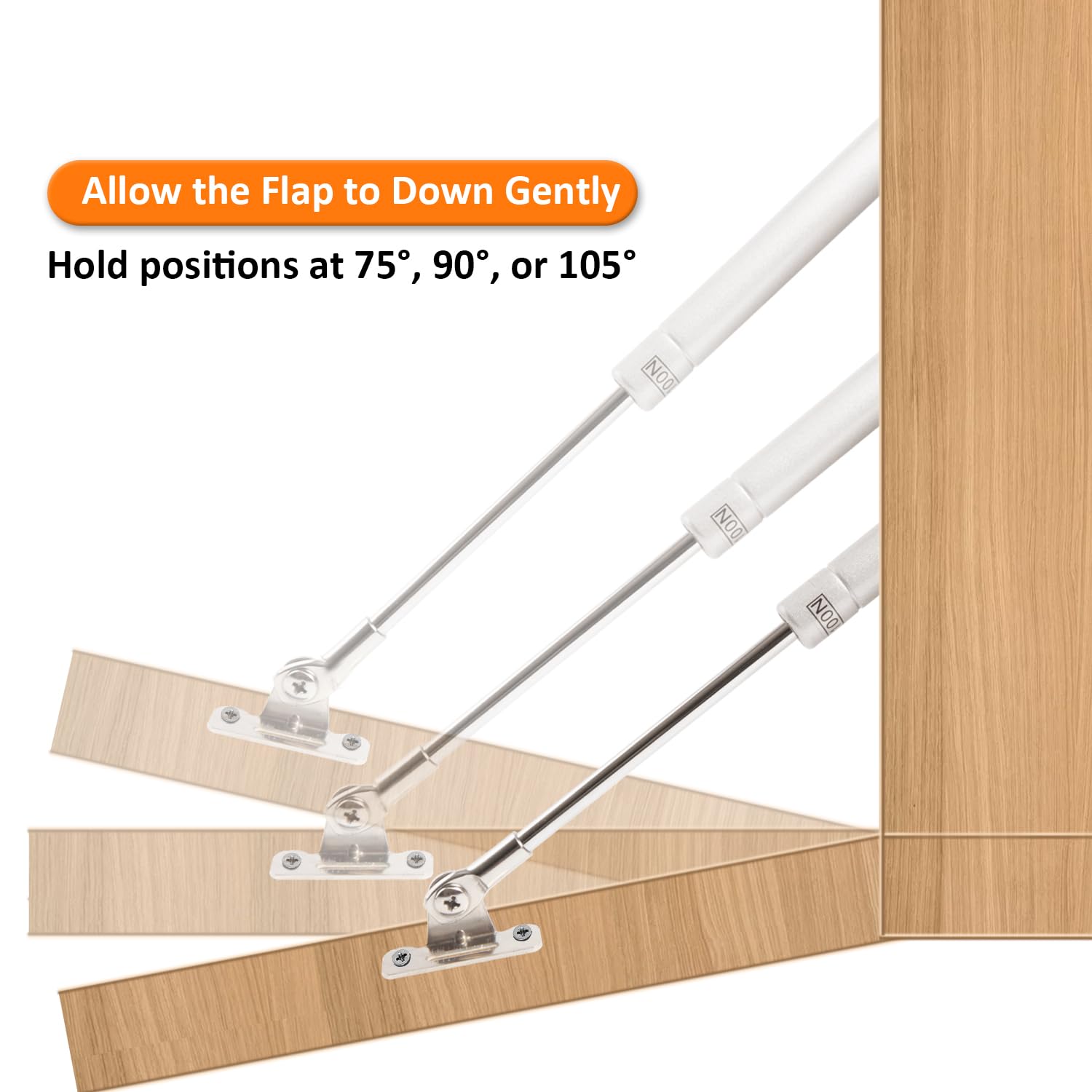 HBL' gas struts with 100N force demonstrating strong lid support.