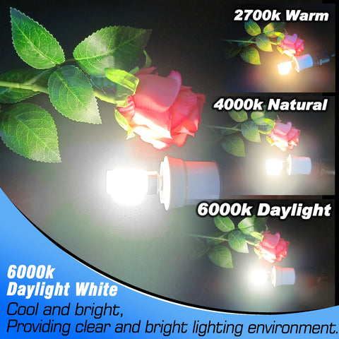 Heifymi small-base E12 LED bulb fits ceiling fans and pendant lights.