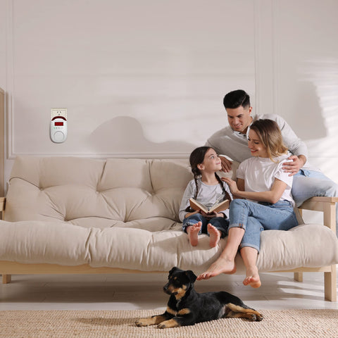 Hembisen two-in-one sensors monitor gas and CO together.