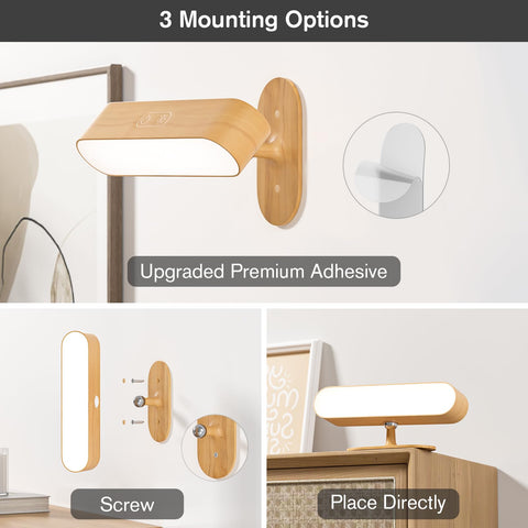 Hensam magnetic-detachable main body for handheld use