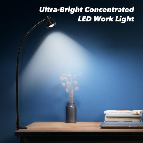 UL-listed lamp with dual voltage 110V/220V for global use
