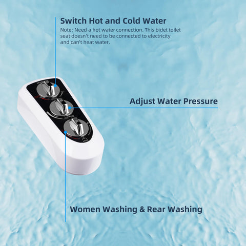Hibbent adjustable temperature and pressure for personalized washes