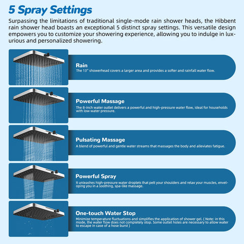 Hibbent handheld shower head with 10 spray modes.