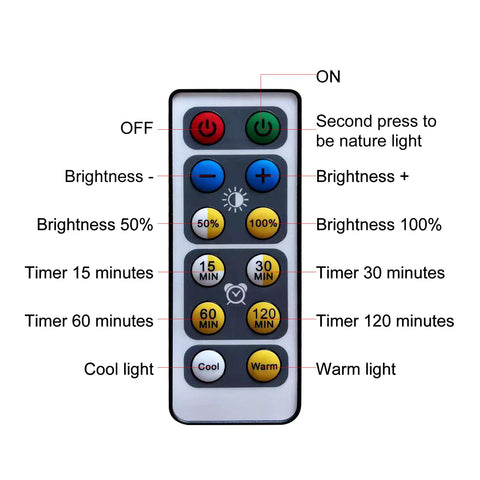 HIPTOKING energy-efficient art light enhances display ambiance