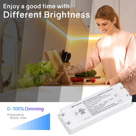 HitLights 30W dimmable LED driver dimmer connection port supports compatibility