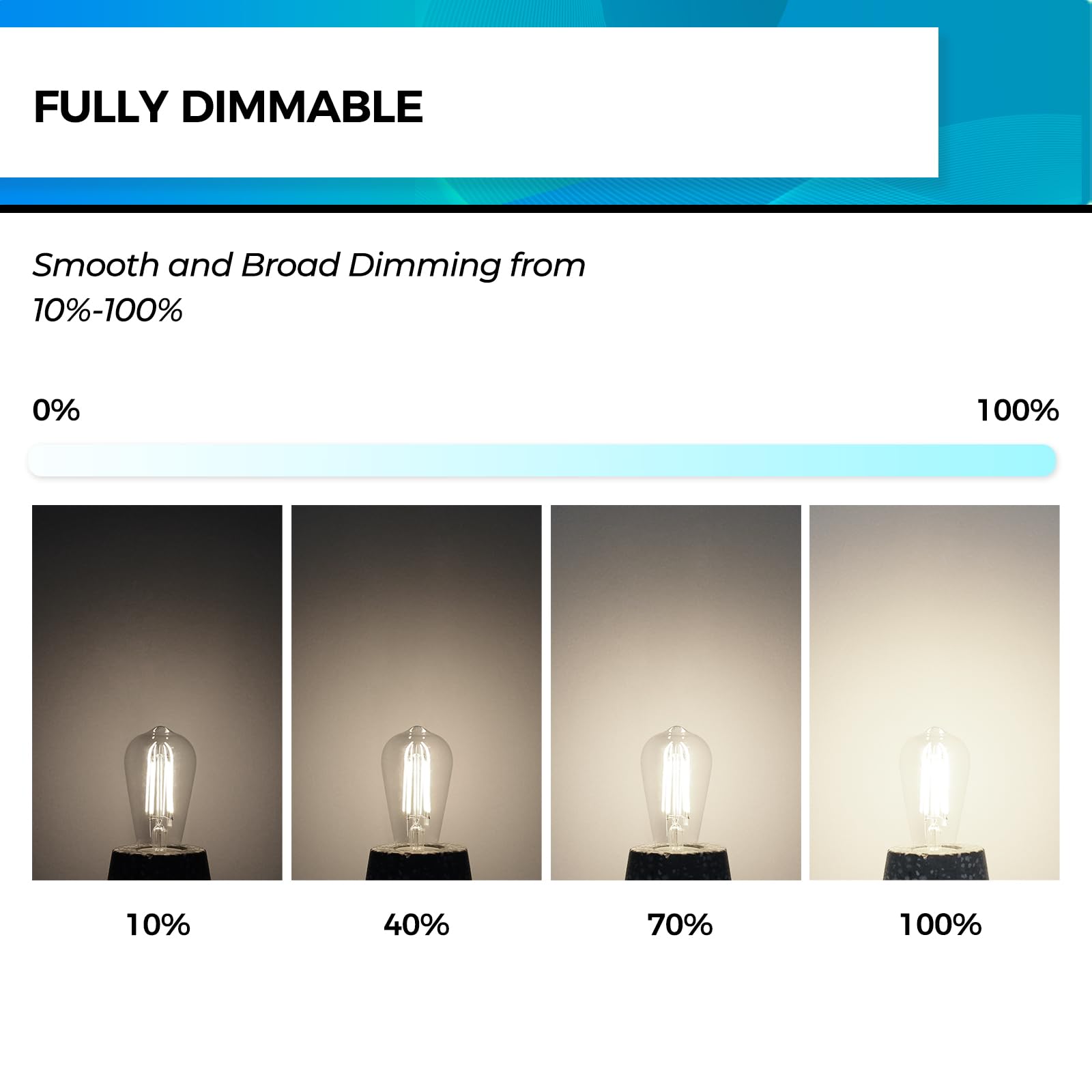 Hizashi clear glass Edison-style vintage LED bulb in clear glass.