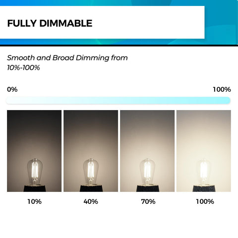Hizashi clear glass Edison-style vintage LED bulb in clear glass.