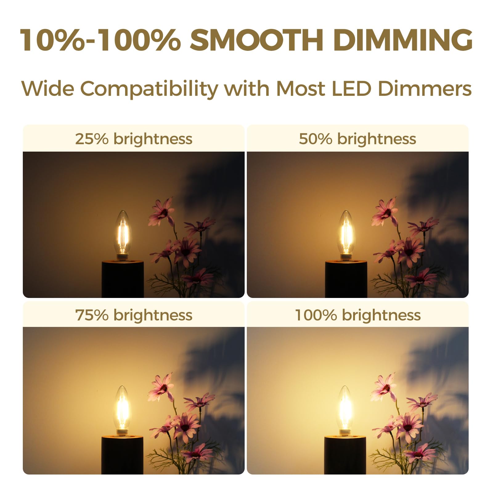 Hizashi E12 base B10 candelabra bulb for compatible fixtures.