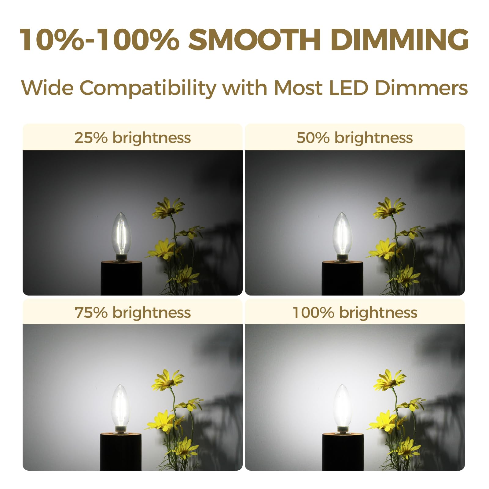 Hizashi E12 daylight 5000K creates bright, natural ambiance for daytime work.