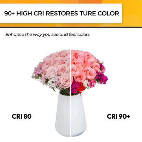 Hizashi 60W equivalent LED saves energy while brightening spaces