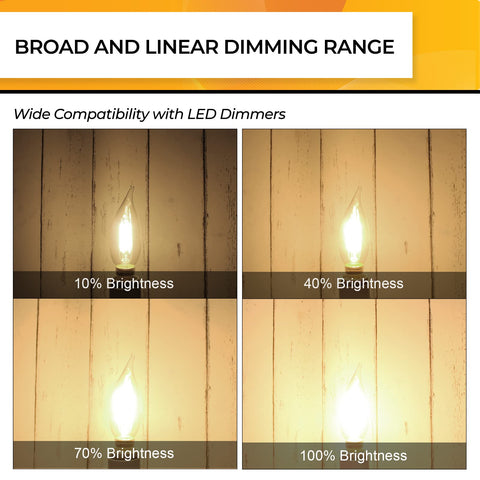Hizashi UL-listed LED candle bulbs in a 12-pack for safety and savings.