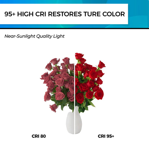 UL Listed Hizashi vintage Edison-style LED bulb for safe home lighting.